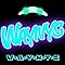W.A.Y.N.Y.S / WAYNYS