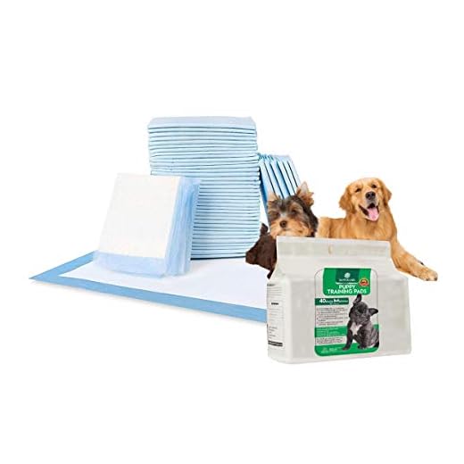 SANTER LABS Empapadores Entrenamiento Perros Mascotas Toallitas Alfombrilla higiénica SuperAbsorvente de 5 Capas Protector de Malos olores Tamaño Regular (58x56 cm) (Unidades, 40 Unidades)