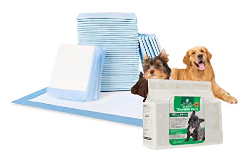 SANTER LABS Empapadores Entrenamiento Perros Mascotas Toallitas Alfombrilla higinica SuperAbsorvente de 5 Capas Protector de Malos olores Tamao Regular (58x56 cm) (Unidades, 40 Unidades)