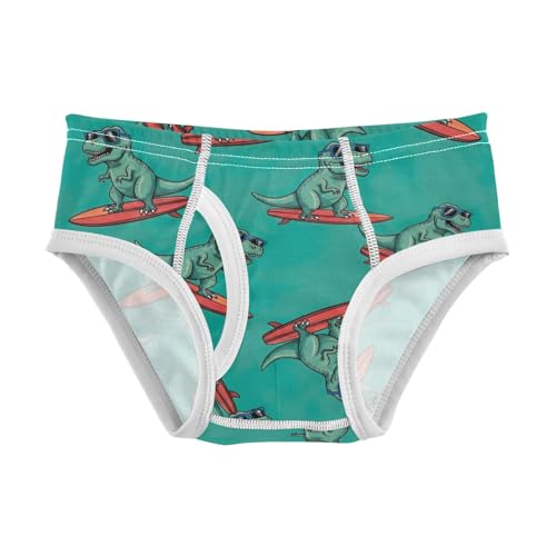 CHIFIGNO Cool Dinosaurs Green Briefs for Boys Printed Cotton Underwear Toddler Boy Soft Brief Underwear
