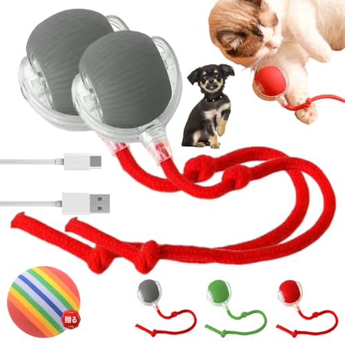  {[   L{[  p{[ d ybg{[ 邮 Rt {[ É C^NeBu Type-c[dt 360x][O s΍ XgX L^ɓKp (O[)