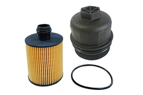 3RG INDUSTRIAL - Kit Tapa Y Filtro Aceite - OEM 55206816 + 55208837 - Piezas para Coche Recambios Motor y Otras Partes de Vehículo - Compatible con los Distintos Modelos de Coche.