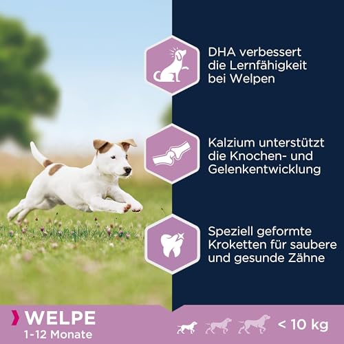 Eukanuba Welpenfutter mit frischem Huhn für kleine Rassen, Premium Trockenfutter für Junior Hunde, 3 kg