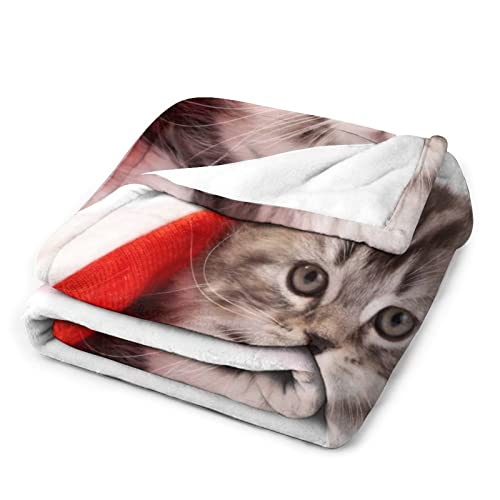 Couverture polaire chat de Noël, l'idée cadeau idéale pour lit et salon - 4