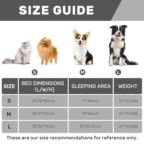 Hollypet Fluffy Dog Cat Bed Pet Couch Beds Plush Soft Warming Washable Puppy Bed for Small Medium Dogs and Large Cats, White, 24" L x 18" W x 10" Th by Hollypet - Image 9