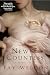 The New Countess (Love & Inheritance Book 3)
