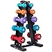 Fitness Alley Steel Dumbbell Rack - 5 Tier Weight Holder & 5 Tier Weight Rack Dumbbell Stand - Dumbbell Holder - Dumbbell Rack Stand (5 Tier Rack & 6,8,9,13,15 lbs Dumbbells)