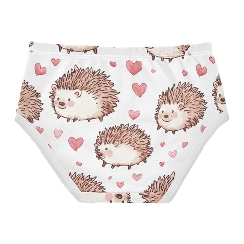 Wusikd Cute Hedgehogs Girls' Underwear Cotton Hearts Girls Briefs Soft Toddler Underwear 2T2