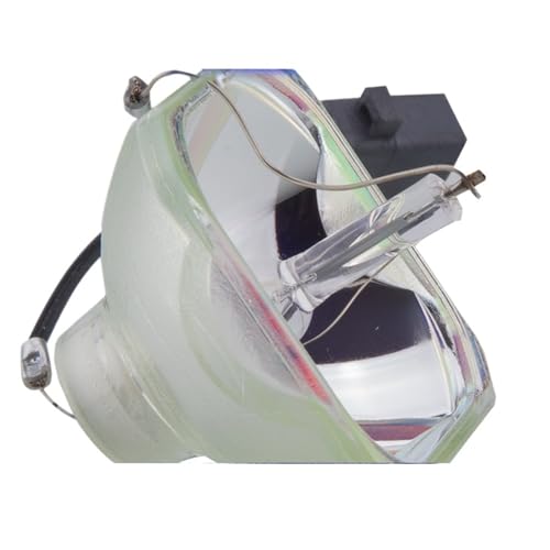 �݊���������܂�ELPLP54 ELPLP58 �v���W�F�N�^�[�����v�d���A�A�z�[���V�A�^�[����ы������e�p�̌����p����(Green)