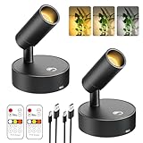 Olafus LED Wireless Spotlight Indoor, Rechargeable Battery Uplighting Indoor with Remote & Timer, 3CCT Picture Lights for Wall, Mini Art Accent Light for Plants, Artwork, Painting, 2 Pack