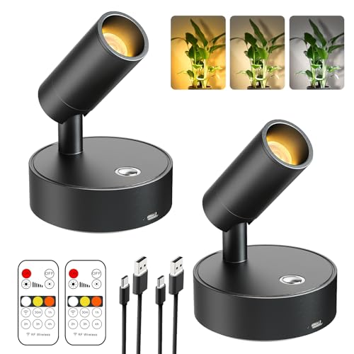 Olafus LED Wireless Spotlight Indoor, Rechargeable Battery Uplighting Indoor with Remote & Timer, 3CCT Picture Lights for Wall, Mini Art Accent Light for Plants, Artwork, Painting, 2 Pack