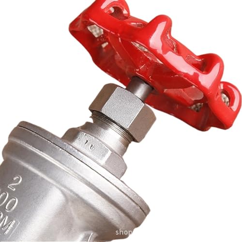Válvula de compuerta recta de 1/2 pulgadas en acero inoxidable 304 DN15 4