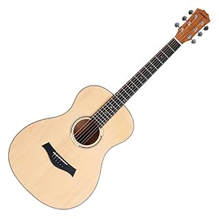 Shaman WSF-10 NT Guitare folk - Les Beatles, Paul McCartney, John Lennon, RIngo Starr, George Harrison