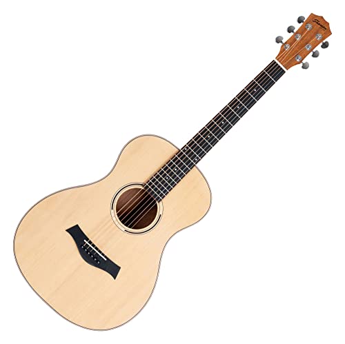 Shaman WSF-10 NT Guitare folk - Les Beatles, Paul McCartney, John Lennon, RIngo Starr, George Harrison Shaman WSF-10 NT Guitare folk