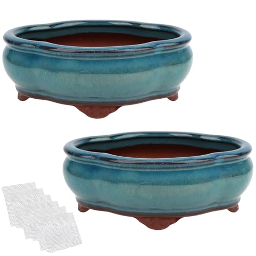 Bonsai Planter 5.7' Small Succulent Glazed Pots Set of 2 + 6 Soft Mesh Drainage Screens