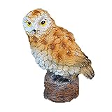 ●Jeu imaginatif : les accessoires d'animaux mignons offrent un espace plus imaginatif et créatif. C'est un projet de jardinage adapté aux enfants, vous pouvez construire votre monde de conte de fées avec votre famille et vos amis.