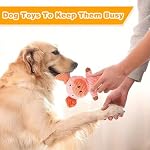 MRSOHRET 5 Pack Dog Toys Squeaky, Tough Stuffed Plush Puppy Chew Toys for Teething, Durable Plush Dog Toy for Large Medium Small Breed to Keep Them Busy - Image 6