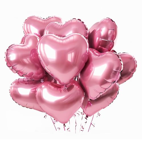 ESJNNK n[g o[ D 10Zbg 18C` A~o[ ݃J[ LOBe p[eB[ a  LO o[Xf[ j t  fR[V (sN)