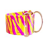 Woofpetshop® Martingale Hundehalsband, Halsband für kleine, mittelgroße und große Hunde, ideales Hundehalsband Windhunde und Podenco (Zebra Yellow, 5 cm - Größe S (34-44 cm))