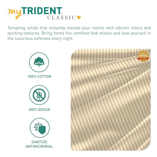 Image of MYTRIDENT Bedsheet for Double Bed, Classic King Size Bedsheet with 2 Pillow Covers, 210TC, 100% Cotton Bedsheet - Irish Cream