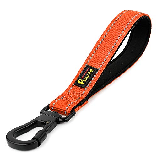 PLUTUS PET Strong Training Dog Lead with Rock Climing Carabiner Clip, Relective Nylon Dog leash Padded Handle, Training Lead for Large and Medium Dogs(25cm,Orange)