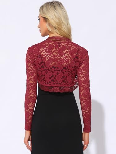 Image of Allegra K Floral Lace Bolero Shrug for Women Elegant Long Sleeve Sheer Cropped Lace Cardigan