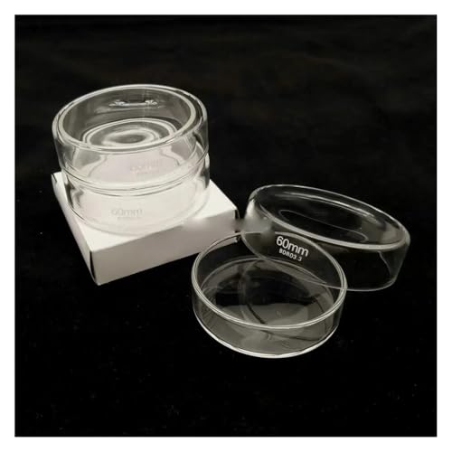 Boîte de Petri en verre 60 mm de laboratoire avec couvercle lot de 5 pièces pour cultures