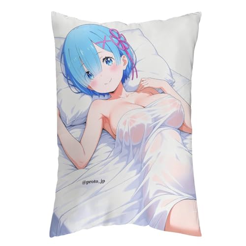 Re �[������n�߂�ِ��E���� ���[�� ���� �G�~���A �N�b�V�����J�o�[ ������� �N�b�V�����E���z�c �\�t�@�w���� �ƒ둕�� �� ���� �l�G�ʗp 40×60cm