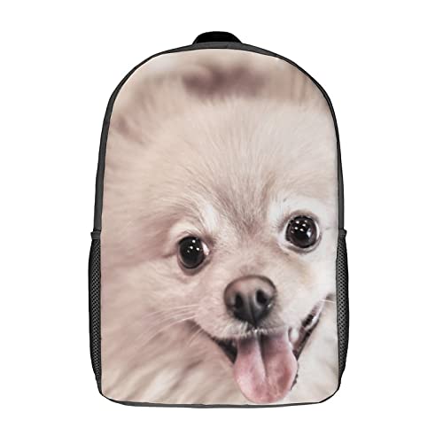 Sac à dos de loisirs pour chien et sorties d'école 17 pouces