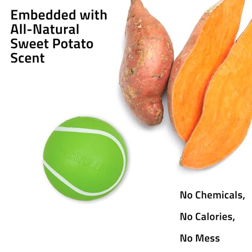 Playology-Squeaky-Chew-Ball-for-Dogs-Engaging-All-Natural-Sweet-Potato-Scented-Dog-Toy-for-Medium-Dogs-up-to-50lbs-Squeak-Bounce-Fetch-and-Play