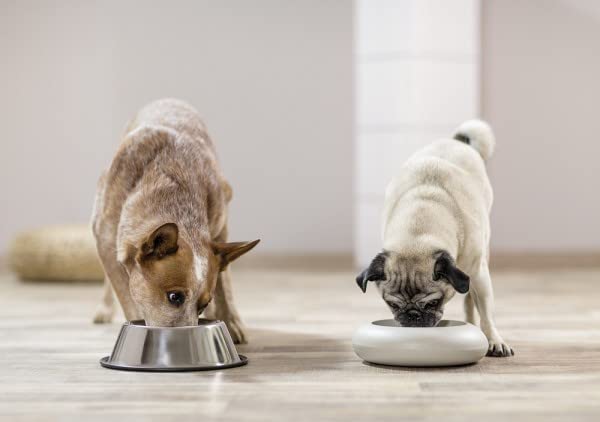 Futtermedicus Optimix Hepatic | 500 g| Ergänzungsfuttermittel für Hunde | Vitamin- und Mineralienergänzung bei selbst gekochter Hundenahrung | Niedriger Kupfergehalt