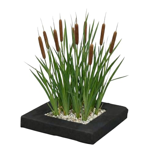 Vdveldecom - Schwimmende Pflanzinsel mit Lisdodde - 4x Typha latifolia Teichpflanzen Set - Pflanzkorb Substrat & Dünger inklusive - Komplettset Wasserpflanzen Teich