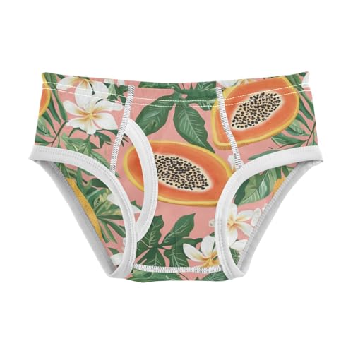 Wusikd Papayas Boys' Underwear Cotton Tropical Flowers Leaves Boys Briefs Soft Toddler Underwear 2T