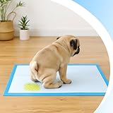 Retoo Trainingspads für Hunde & Welpen 40x60 cm, 100 Stück PIPI Matten Einweg – 6-lagig, Auslaufsicher & Saugfähig, Schnell Trocknende Oberfläche – Ideal für Inkontinenz & Stubenreinheit