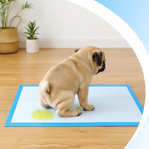Retoo Trainingspads für Hunde & Welpen 40x60 cm, 100 Stück PIPI Matten Einweg – 6-lagig, Auslaufsicher & Saugfähig, Schnell Trocknende Oberfläche – Ideal für Inkontinenz & Stubenreinheit