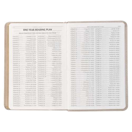 Image of KJV Bible Compact (Faux Leather, Taupe)