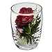 Fiora Flower | Long Lasting Real Roses in a Sealed Vase | Lasts up to 5 Years | Unique Present Gift