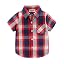 Plaid Navy