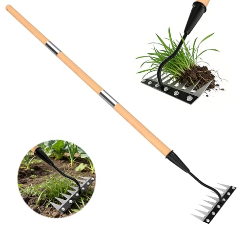 ATLRGISL Iron Weeding Rake with Wooden Long Handle 2.0 8 Teeth Weed Puller Tool Heavy Duty Manual Gardenia Weed Rake Tool for Yard Lawn and Garden 56Inch