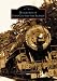 Railroads of Cape Cod and the Islands (MA) (Images of Rail)