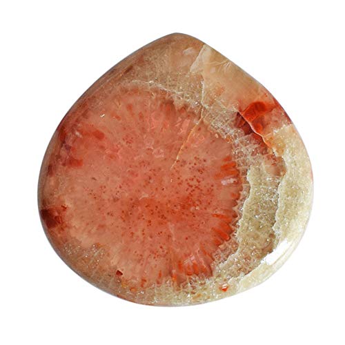Cabochon en corne rouge naturelle de l'Utah 32 CTW, une gemme d'exception en forme de poire