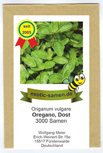 Oregano-Samen exotic-samen Oregano, 3000 Samen