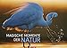 Produktbild Magische Momente der Natur - Kalender 2021- Weingarten-Verlag - Wandkalender mit atemberaubenden Fotos - 67,8 cm x 48,8 cm
