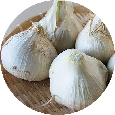 Amazon ニンニク 種球 大きなニンニク 島根県産 にんにく 1g 充填時 球根
