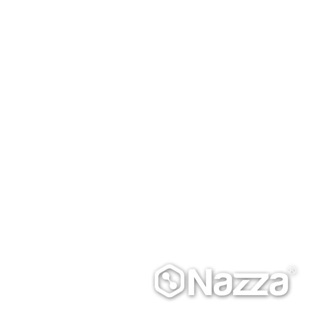 Nazza Esmalte Sintético Poliuretano - Uso interior y exterior - Rápido secado - Blanco Satinado