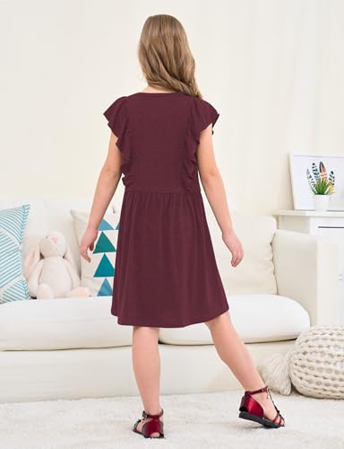 Jimonda Girls Dress Ruffle Sleeve Toddler School Skater Dress for Kids 2-8Y4