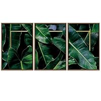SIGNWIN Framed Canvas Wall Art Tropical Green Leaves with Golden Square Botanical Succulent Photography Minimalism Modern Closeup Colorful for Living Room, Bedroom, Office - 16