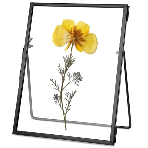 REDHUGO Gepresste Blumenrahmen, Glas-Schwebeframe zur Anzeige von getrockneten Pflanzenspezimenbildern… – Ansicht 1