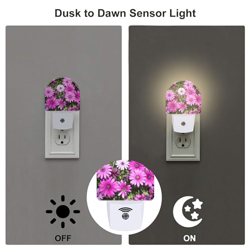 Image of Purple Daisies Flowers Night Light, Beautiful Blooming Daisy Dusk to Dawn Night Light Plug in,0.5w Energy Saving Sleep Friendly NightLight for Kids Boys Girls Home Decor