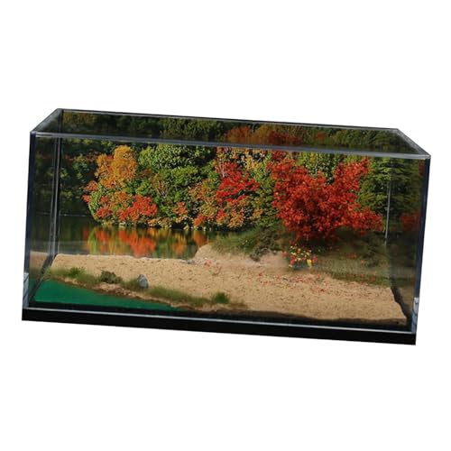 Diorama voiture 1:64 avec vitrine acrylique pour décoration de bureau